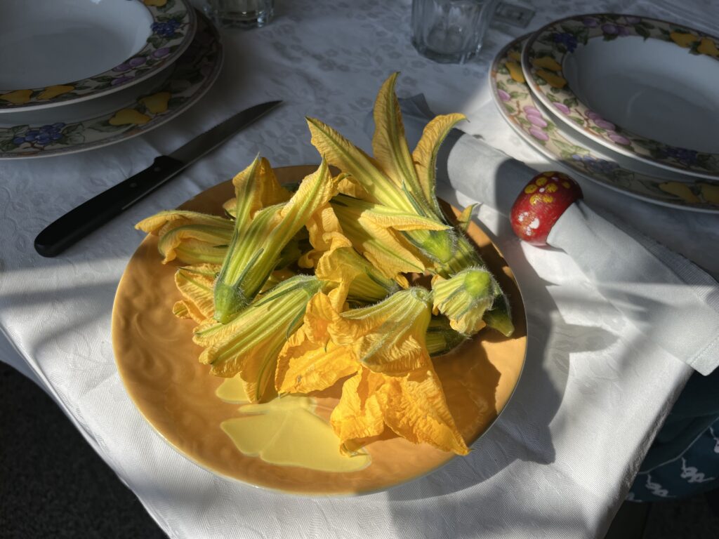 pumpkin flowers