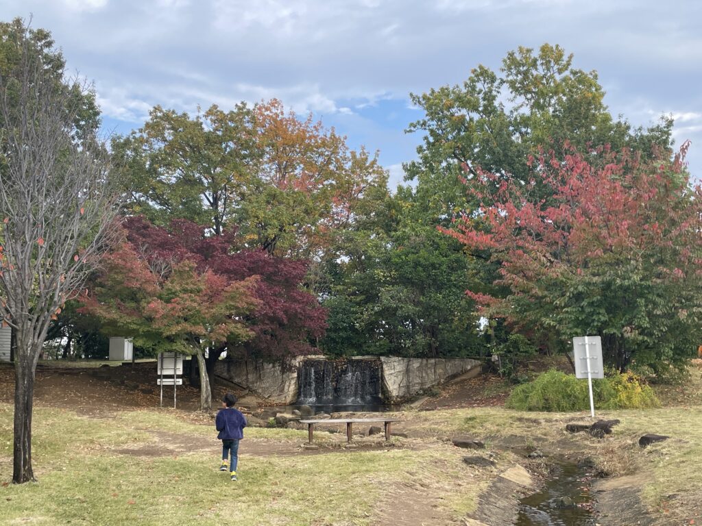 「めんどくさっ」な日曜