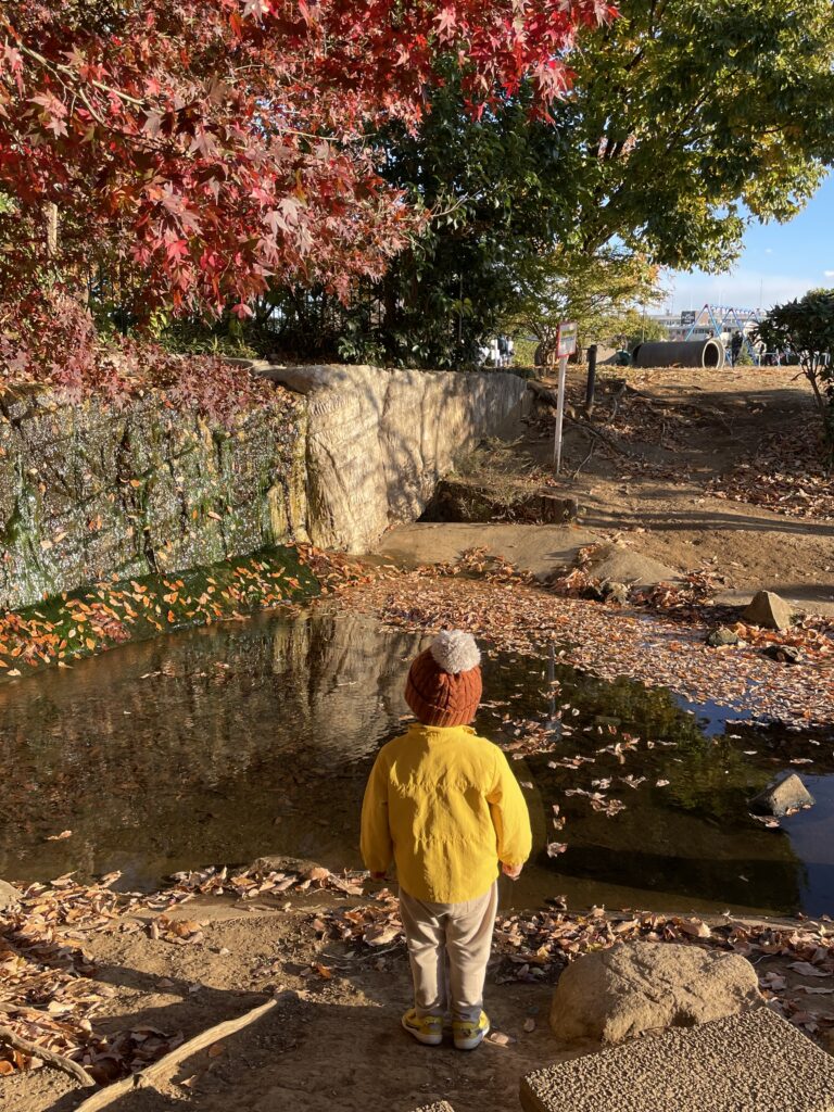 早く飛ばしたい木曜