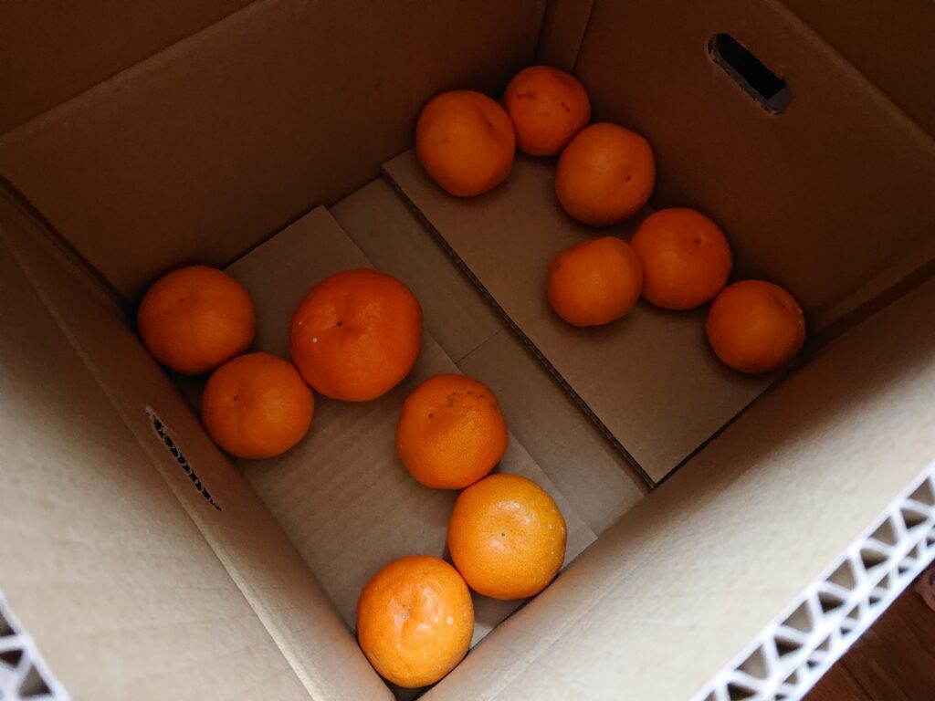 ケチャップの赤とみかんの橙、晩秋ですね