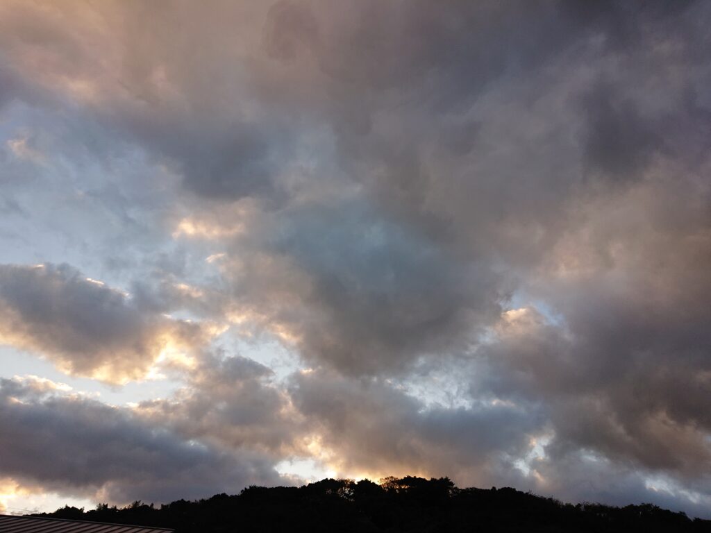 頭は忙しいけれど、ワクワクな週