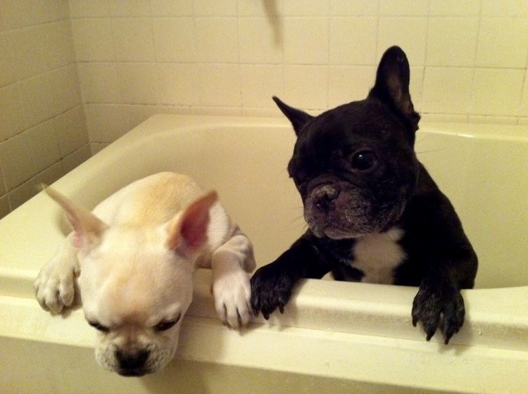 ダメだとわかっていてもやっちゃうことってある