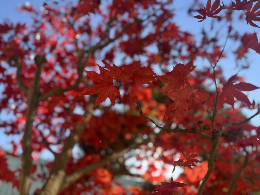 無事に行けますように