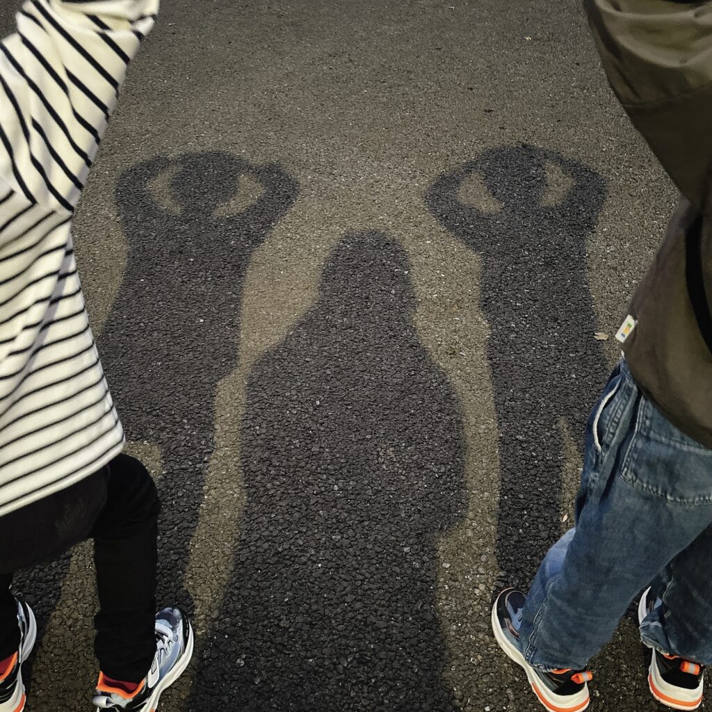 ピンクの空を追いかけて