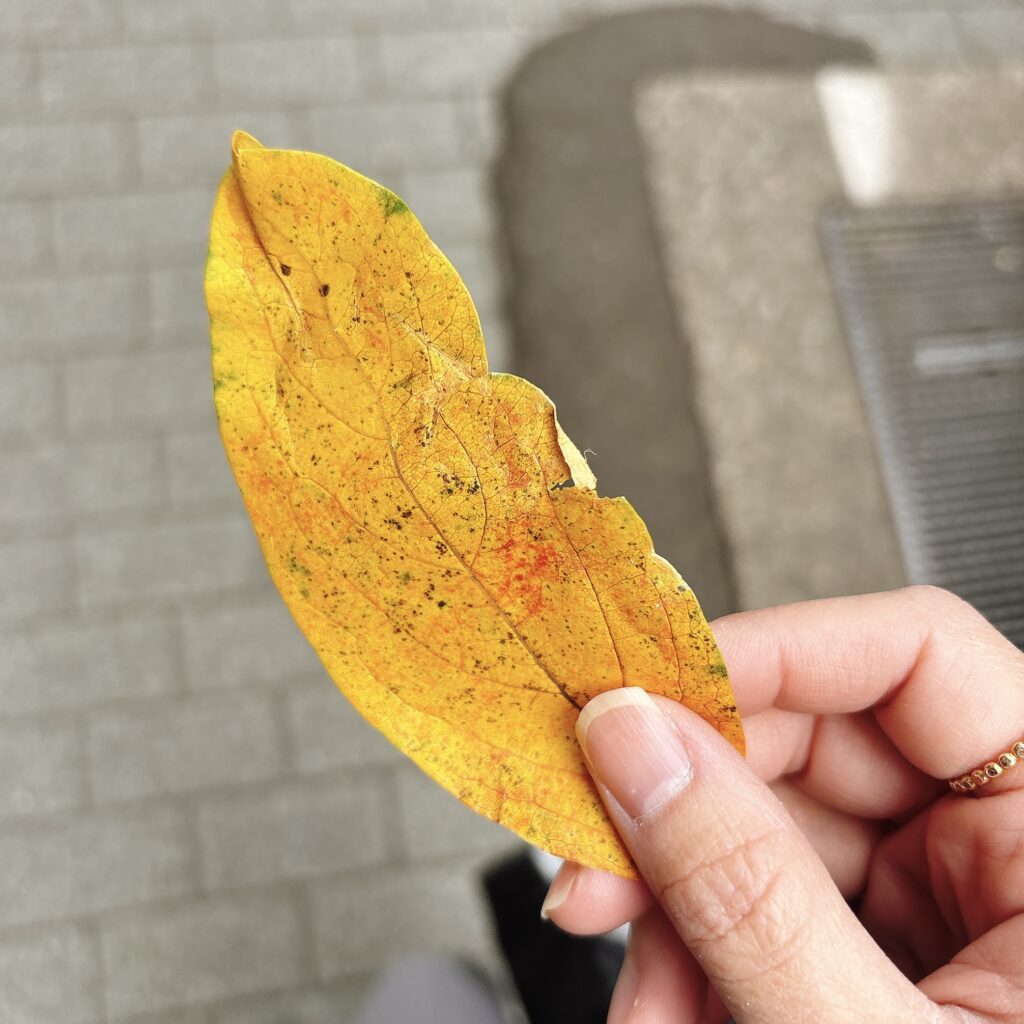 そこにある「頑張る楽しさ」も知って欲しくて