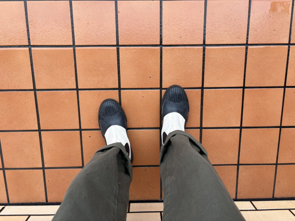 わたしのムーンスター