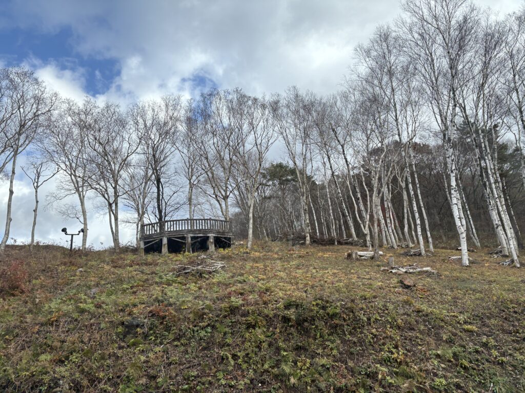 もくもくとこなす木曜日