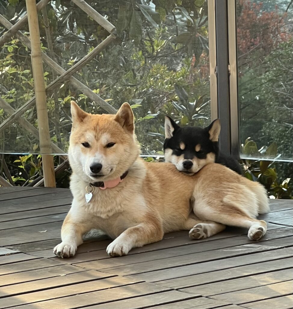 dealing with a frozen shoulder