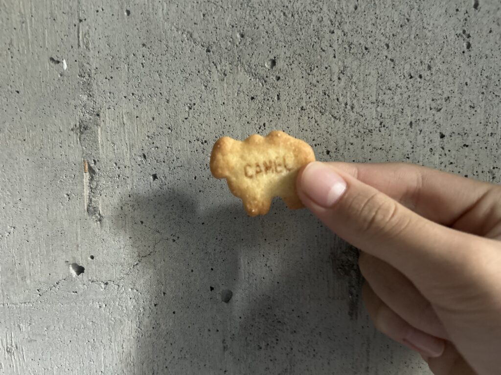 薄くなりました？