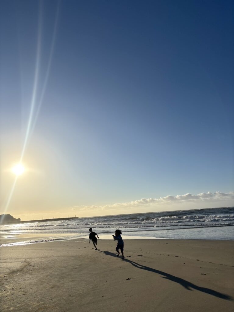 ¥5,500 ガラスコート ピカピカプロDX