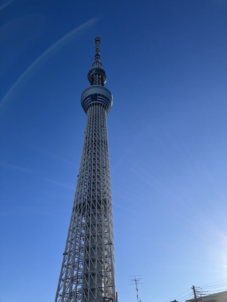 ¥1,200 ラムのビリヤニ（野島商店）