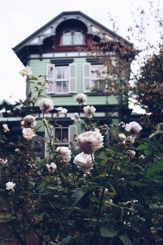 いい話しか無い日曜