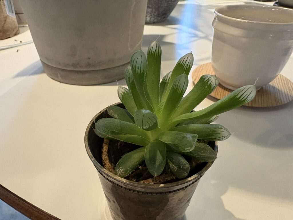 師走感あらわる