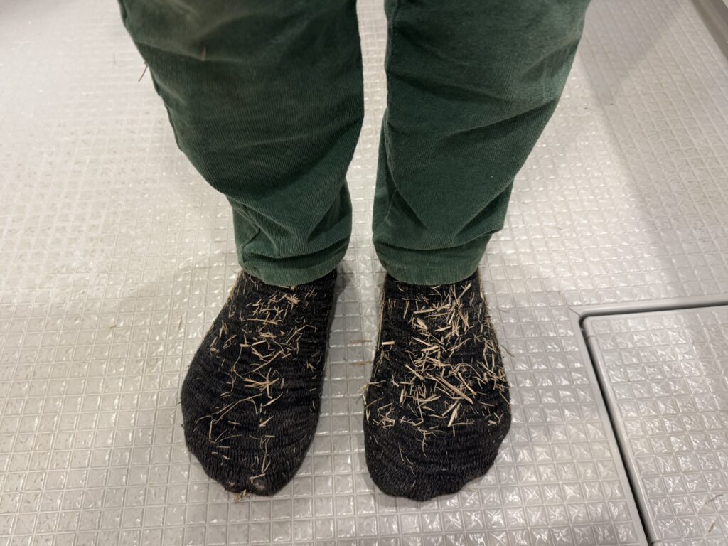 見切りをつけること覚えたか？