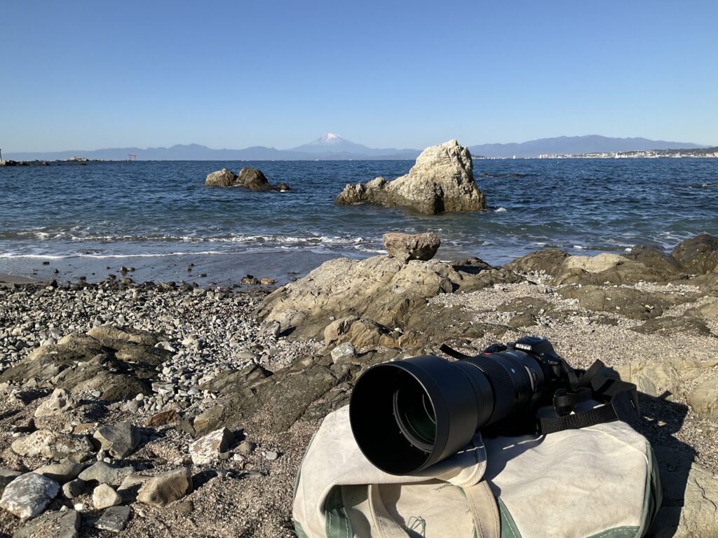 鳥活・スープボーン・インフル？