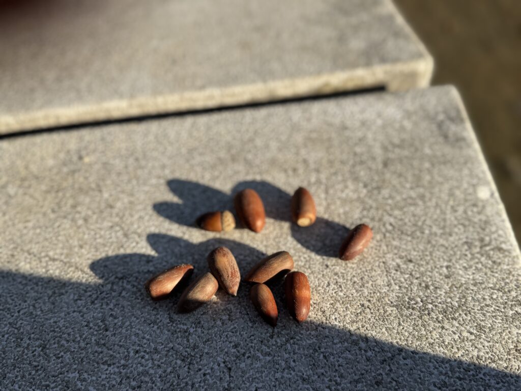 明日に向けて準備