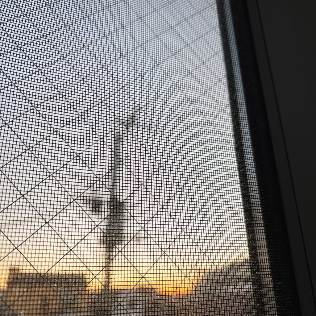 その「うわあ！」感がたまらない