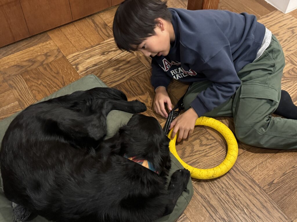 理屈はともかく単純に悲しい