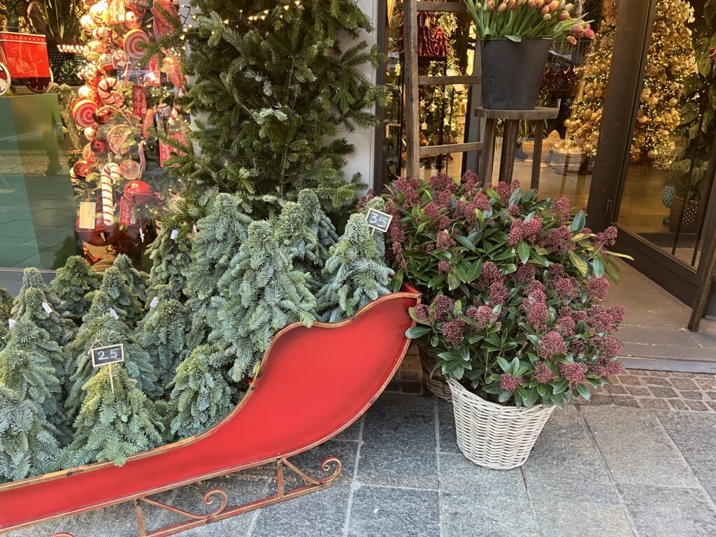 my blood pressure is on the high side