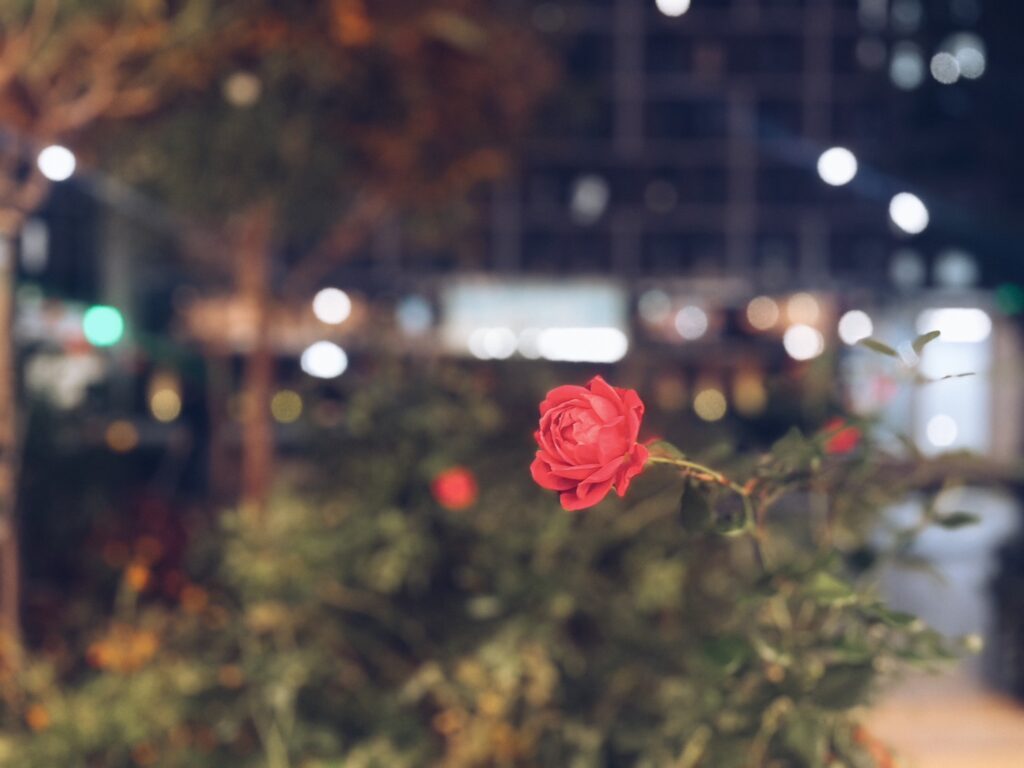 ワンオペweekの予感な月曜日