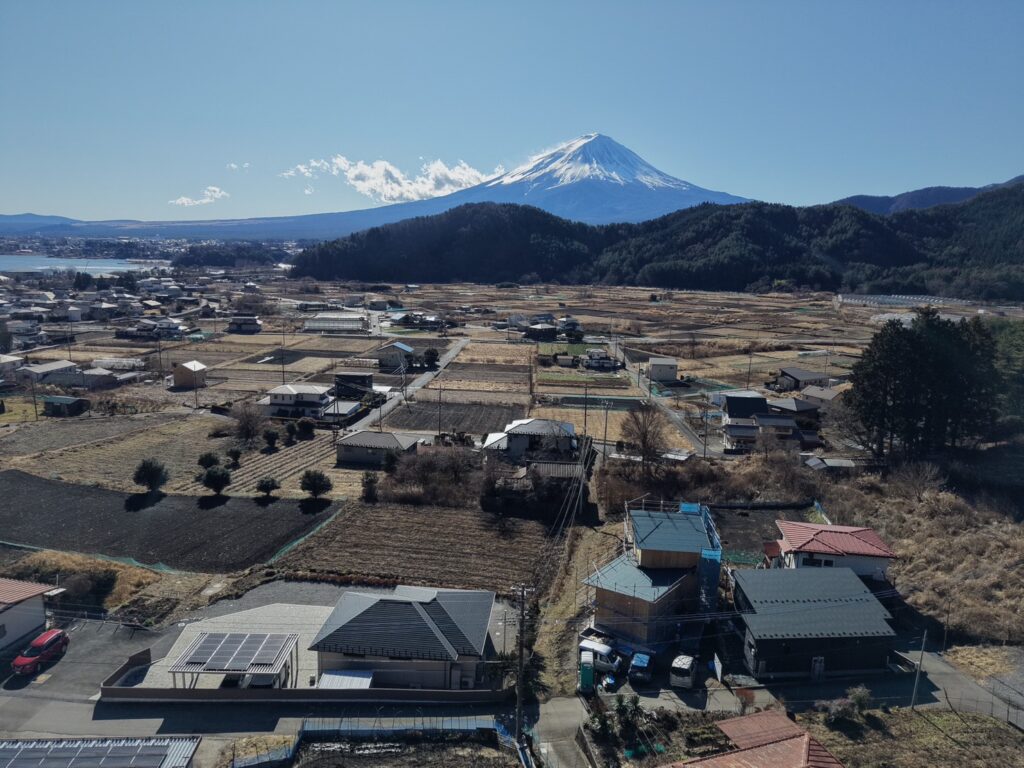検査と見学の月曜日