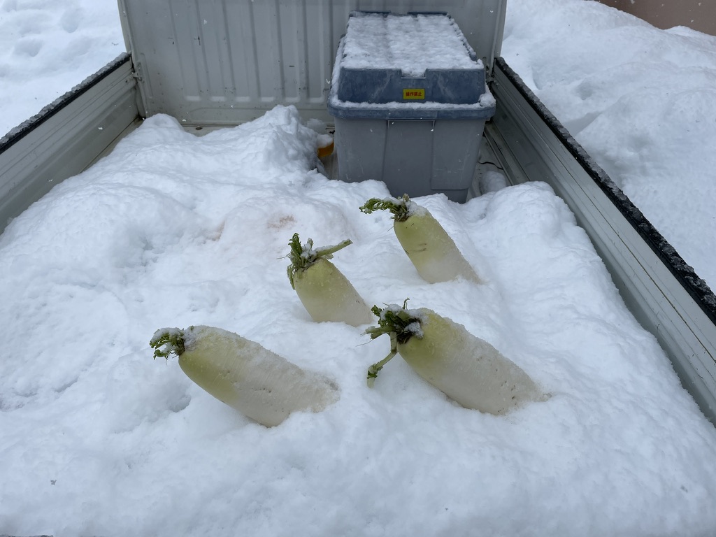 三が日の間に煮しめをつくる