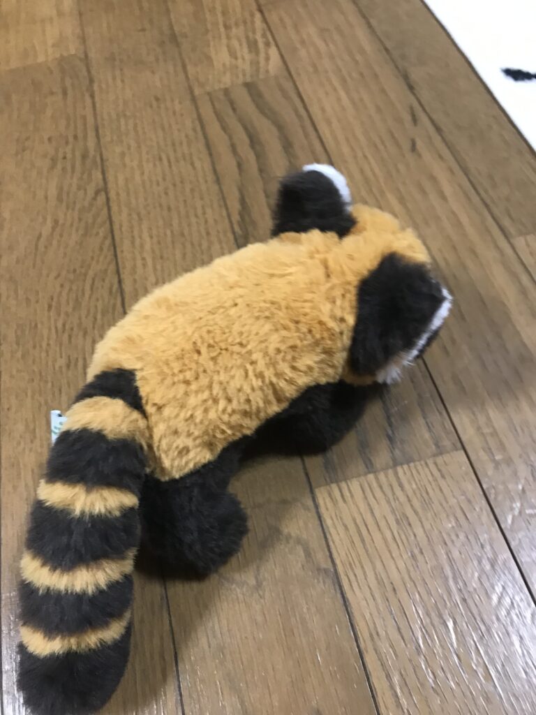 今日中に寝るんだ！