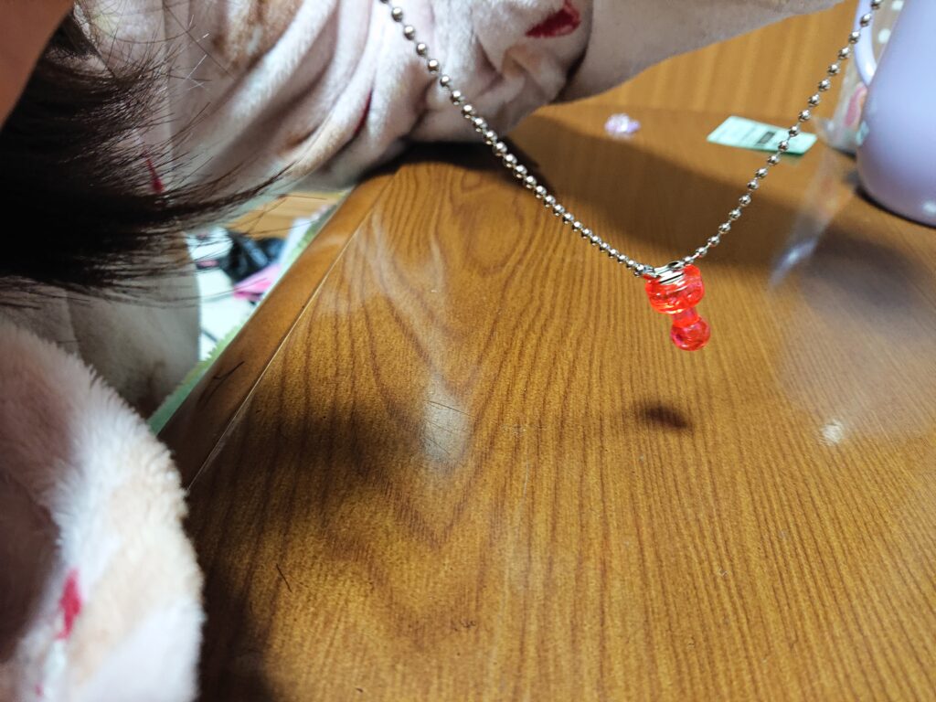 昨日までなかったおもちゃ