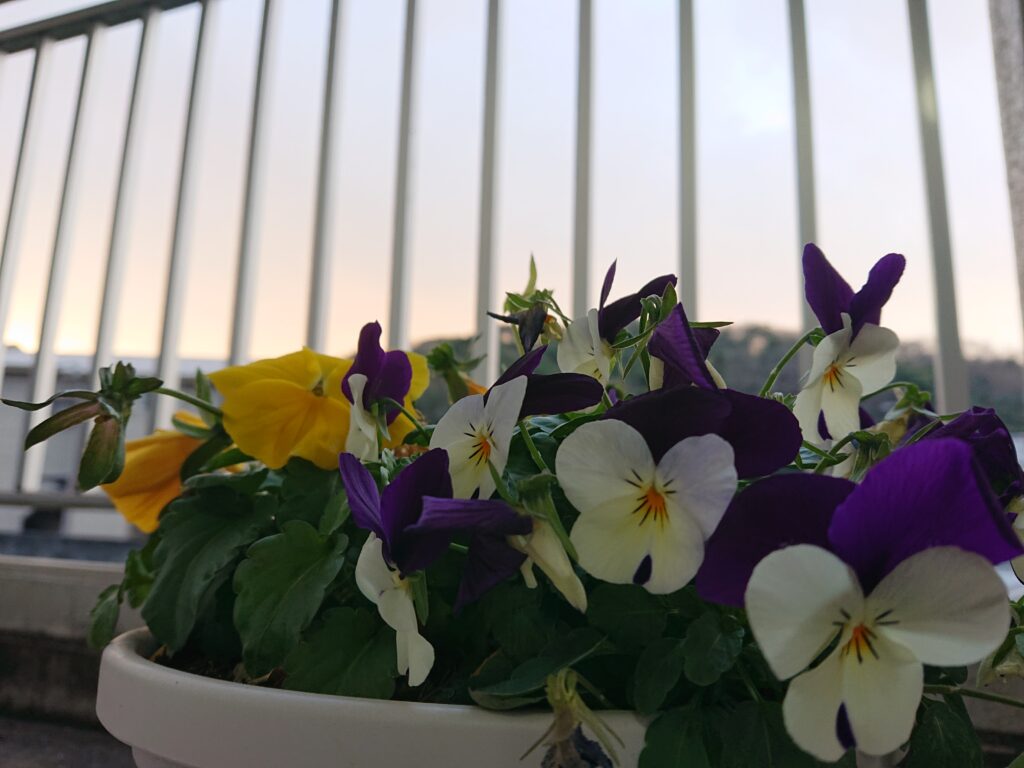 連休のツケに、戦々恐々な朝。