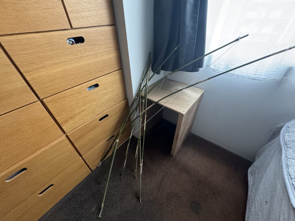 プリングルス１枚あげた