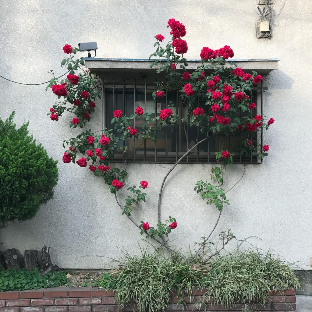 なんかさ、なんかね。