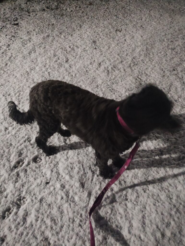 今日のクーラ·2