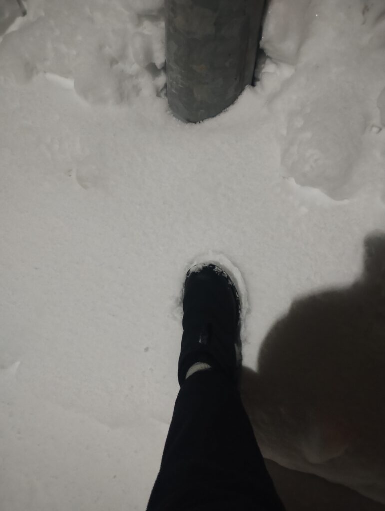 雪国アドバンテージ