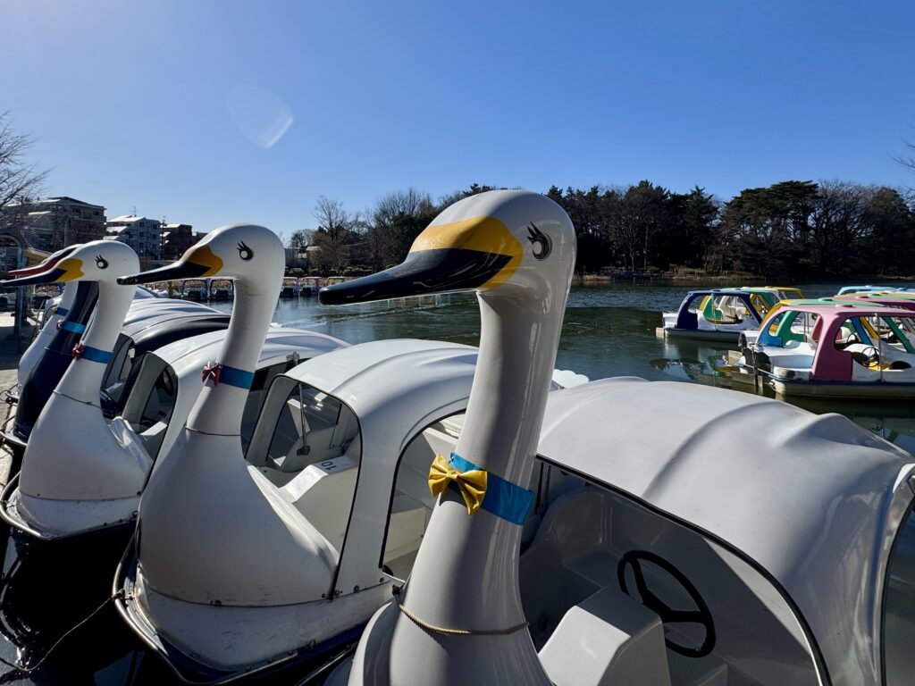 こりゃイッシー住みそうだ