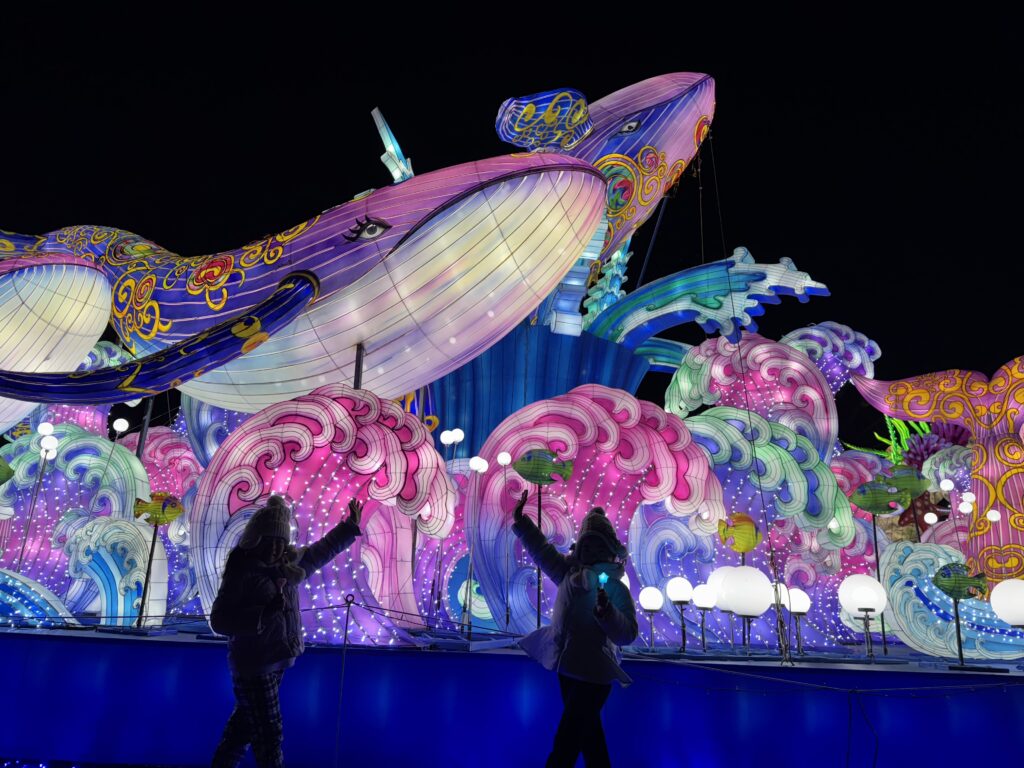 念願のイルミネーション