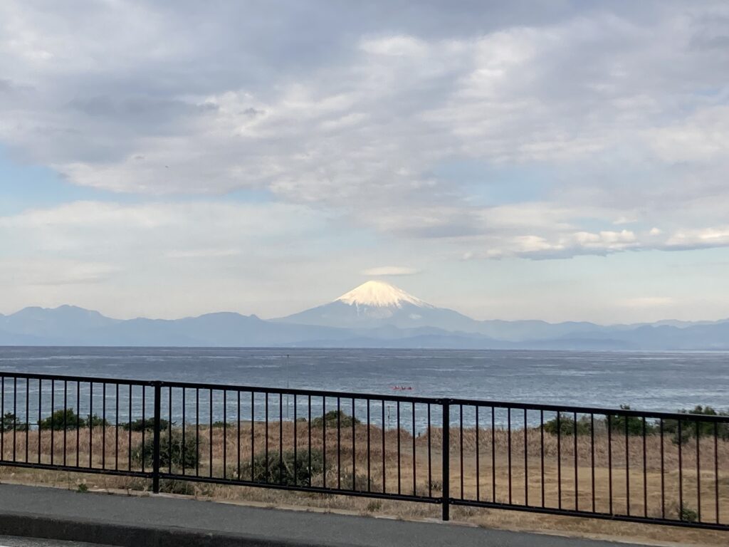 遅ればせながら