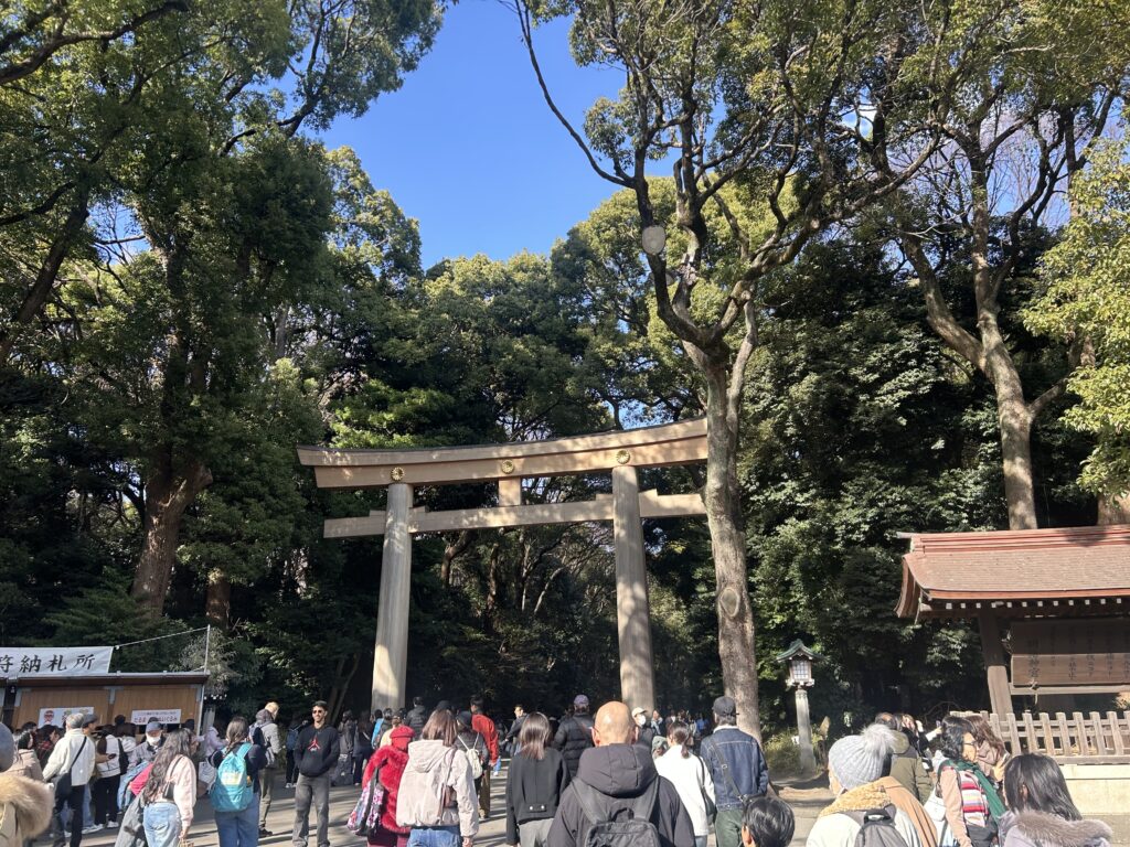 太陽がでていたので