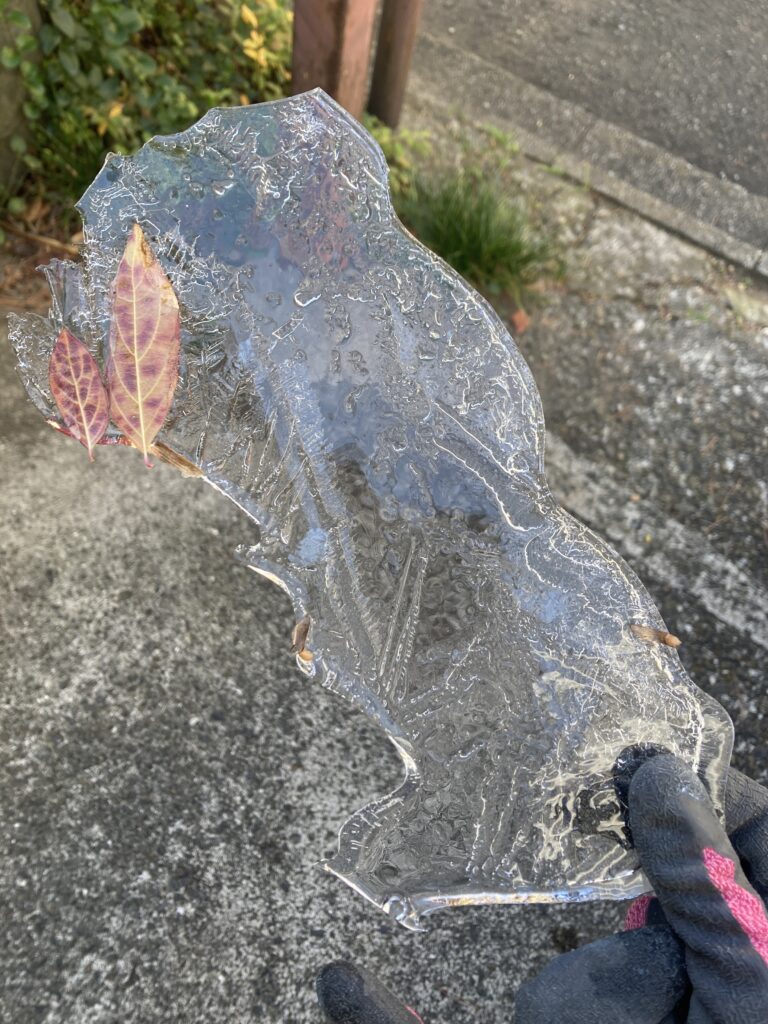 生きのびて会いましょう