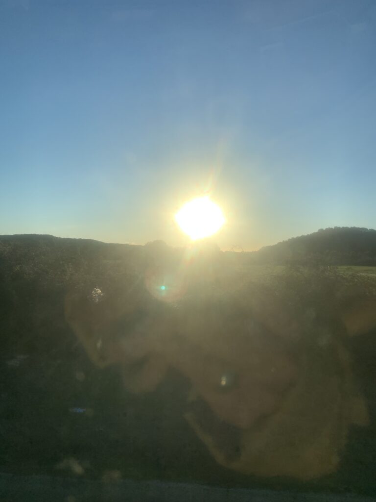 DÍA DE SOL Y CHISPAS DE AMOR