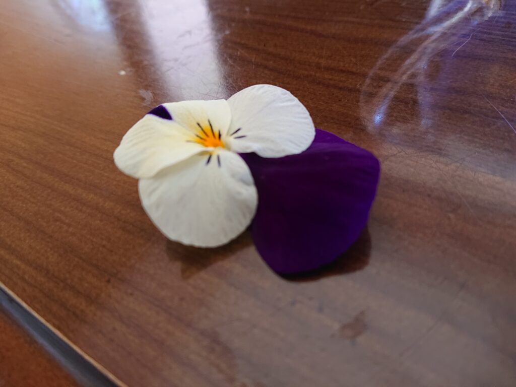 どんな風にあたったら、こんなきれいに落ちるんだろう。