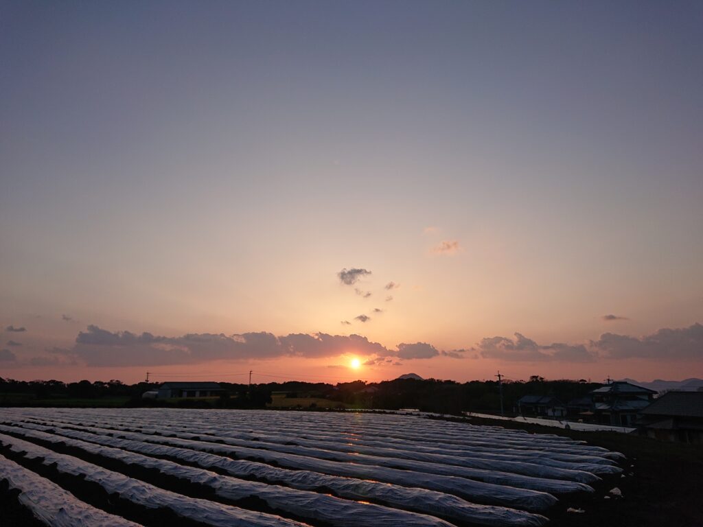 夕日がきれいだ、と思える余裕のある一日の終わり