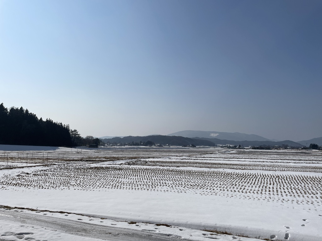 壮絶な二日酔い