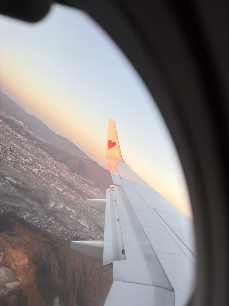 ¥800 明太キッシュタルト×2（ふくや福岡空港店）