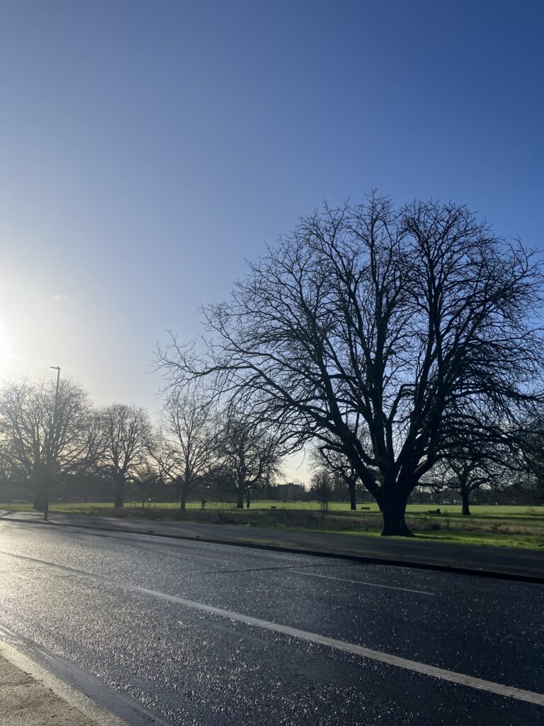遅ればせながら引越しについて