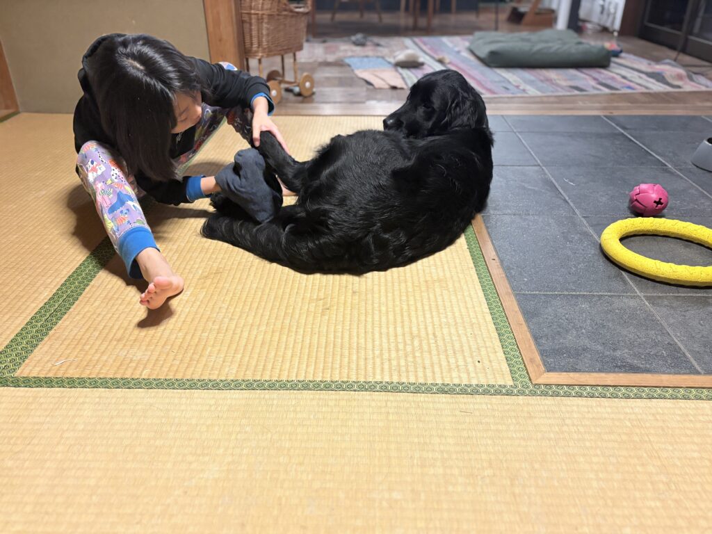 ¥2,222 餌用ボールドラゴンフルーツ