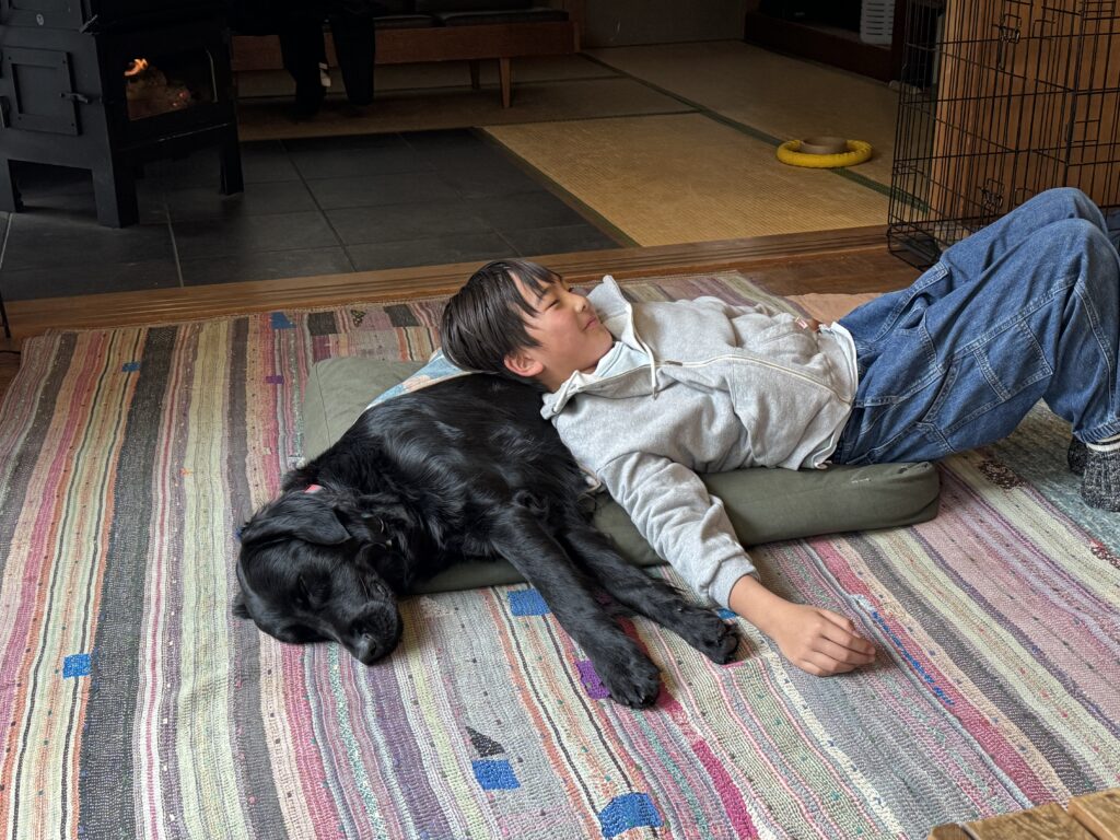 エコーチェンバー現象