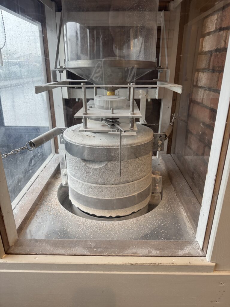 雨も久しぶりだとなんかいいね