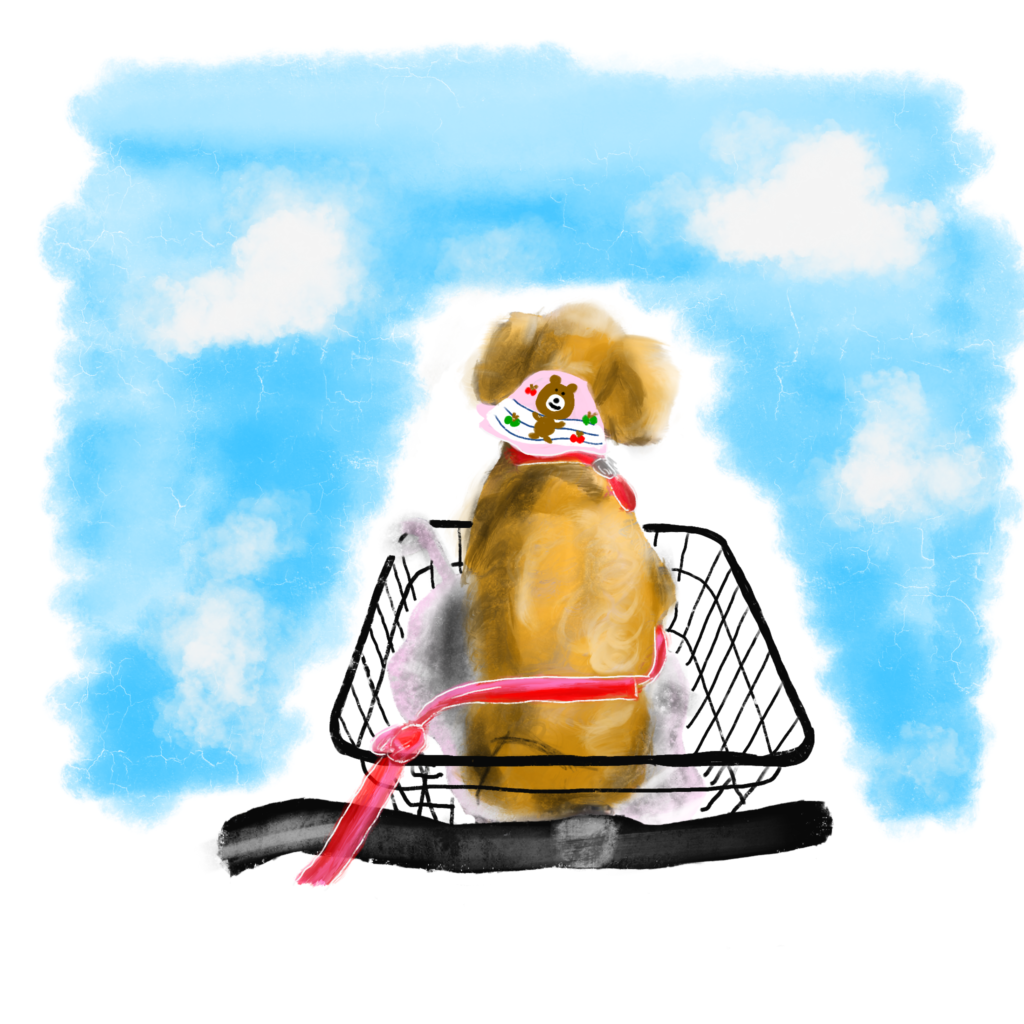 朝ご飯とお弁当が入り混じった匂いが小窓から溢れ出すぎる民家が近所にあったせいで高校遅刻しまくっていた。