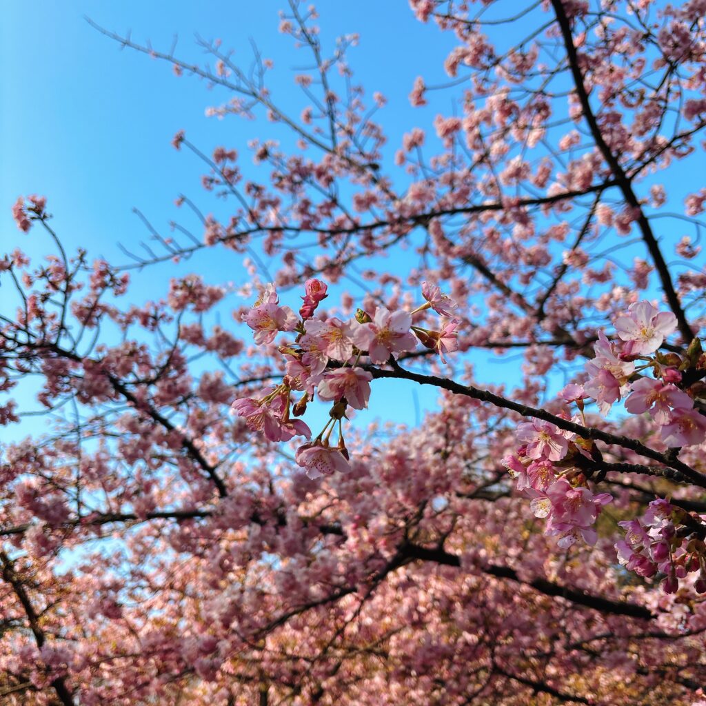 ピンチすぎてる