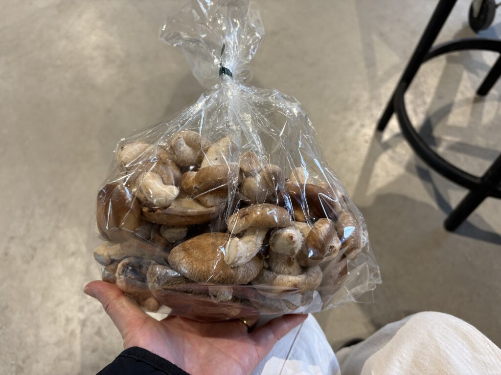 不揃いのしいたけ